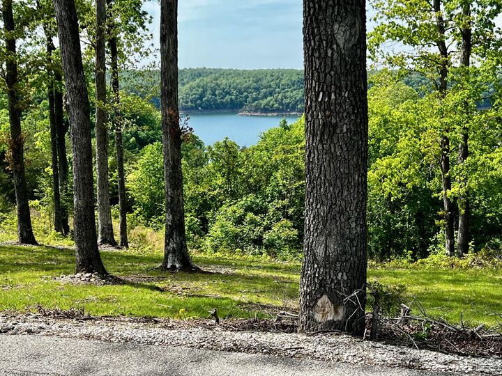 Property Photo:  Track 5 And 6 Arthur Road  KY 42633 