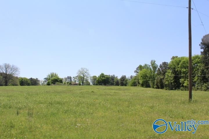 Property Photo:  28.77 Acres Cranford Road  AL 35016 