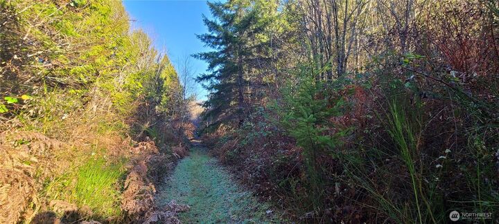 Property Photo:  0  Cornwall Road NW  WA 98349 