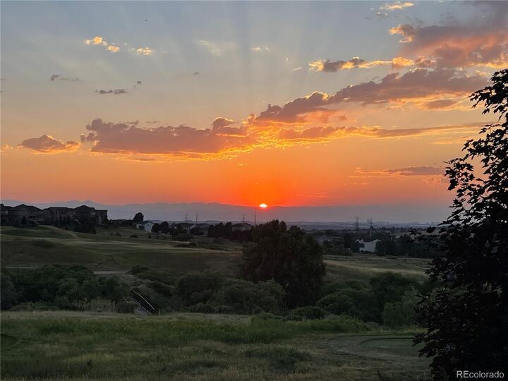 Property Photo:  11629 Blackmoor Street  CO 80138 