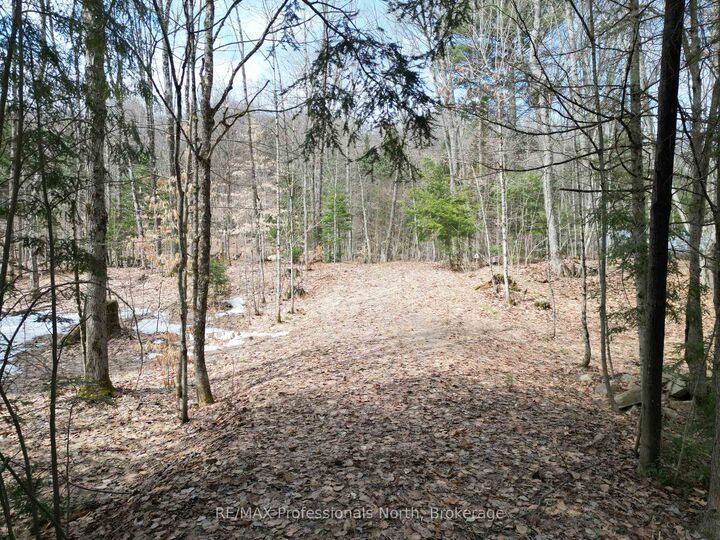 Property Photo: 1231 Big Hawk Lake Road ON K0M 1J2