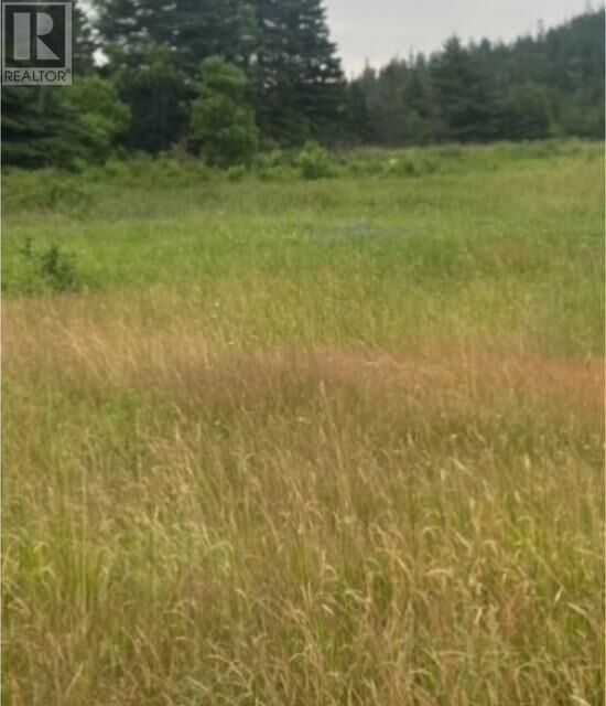 Property Photo:  76B Island Drive  NL A0G 4E0 