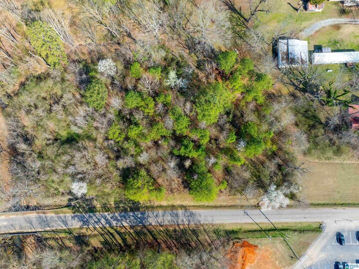 Property Photo: Lot 4 Francis Street 4 AL 36265