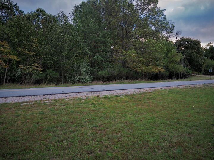 Property Photo:  Lots5thru8 Monroe Street  MI 49660 