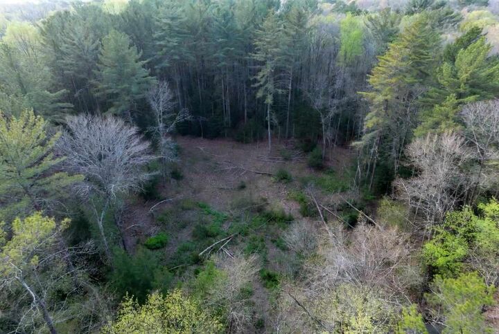 Property Photo:  5873 W Maple  MI 49799 