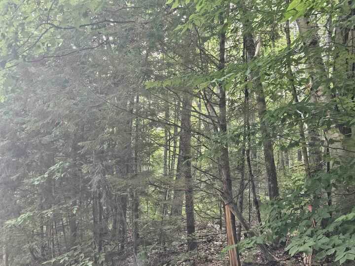 Property Photo:  Lot 265 King Drive  NH 03765 
