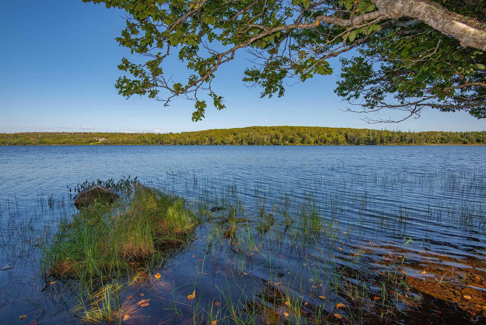 Property Photo:  Lot, Highway 1  NS B5A 5T3 
