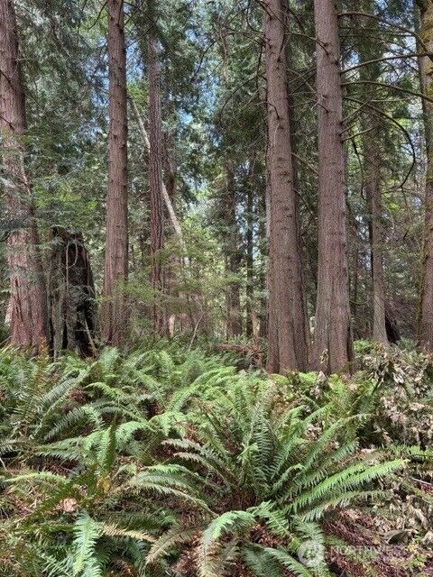 Property Photo:  16230  Agate Pass Road Lot B  WA 98110 