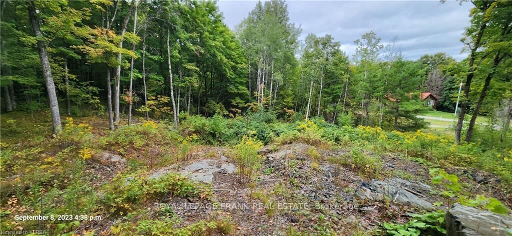 Property Photo: 169 Northern Avenue ON K0M 1A0