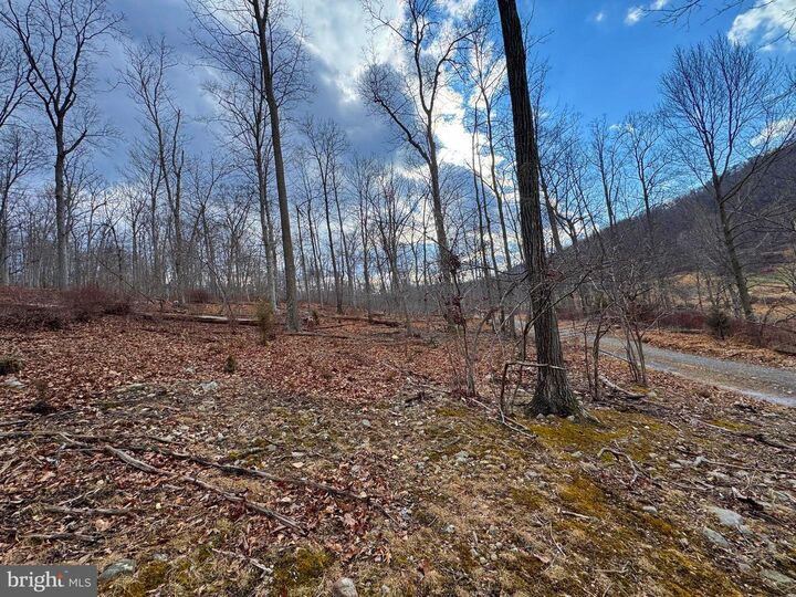 Property Photo:  Frog Hollow Road  WV 26711 