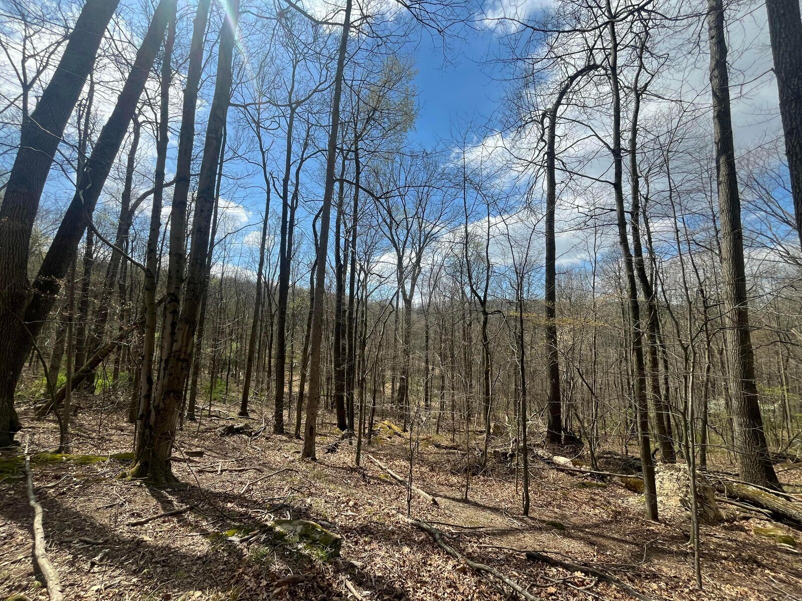 Property Photo:  14040 Pinewood Trail NE Road  OH 43055 