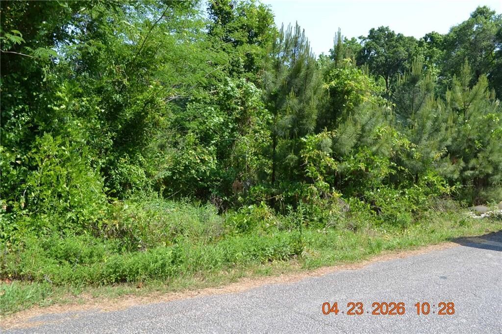 Property Photo:  0 Sandfort Rd And 3rd St. South  AL 36867 
