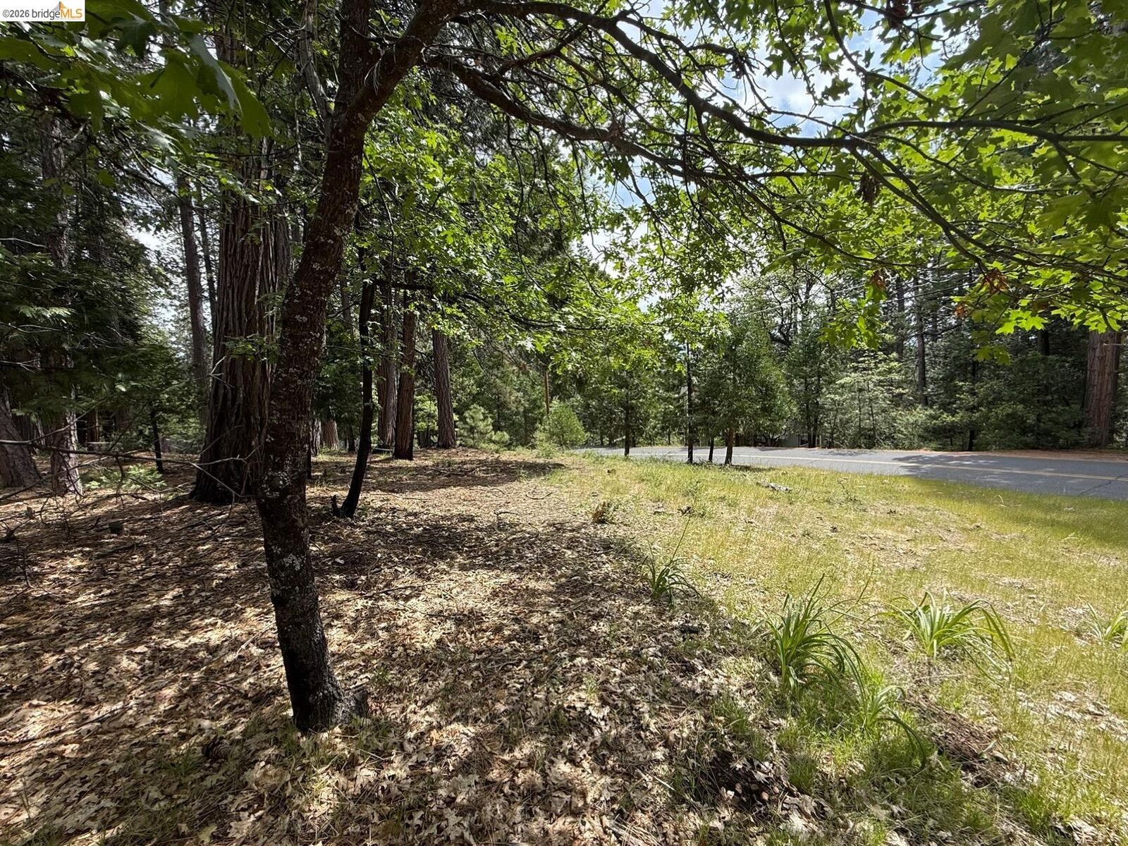 Property Photo: 2640 Fairway Drive CA 95223