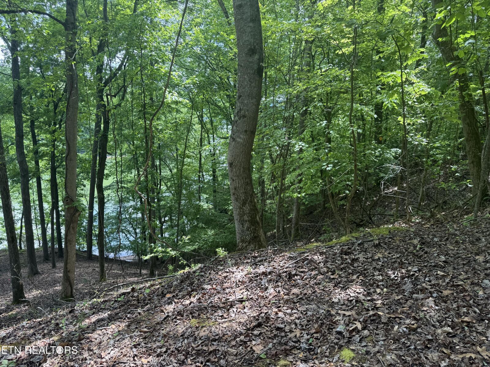 Property Photo:  28 Indian Shadows Drive 28  TN 37880 