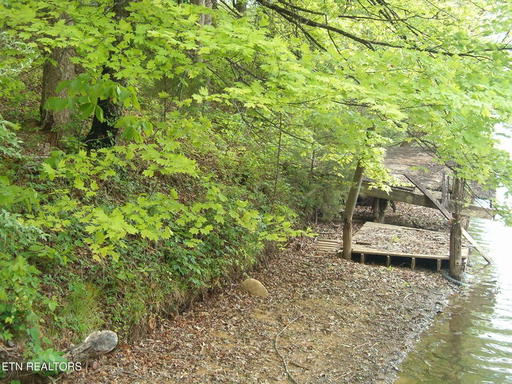 Property Photo:  Centers Patton Rd  TN 37748 