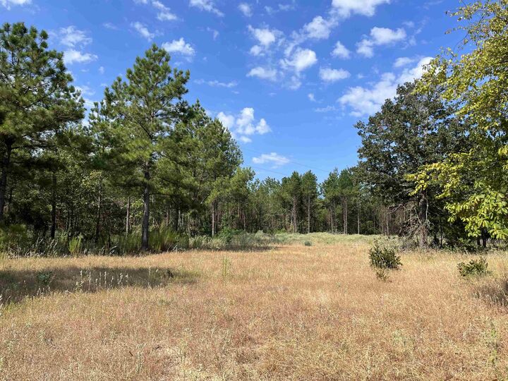 Property Photo:  Tbd Trinity Rd  TX 75650-000 