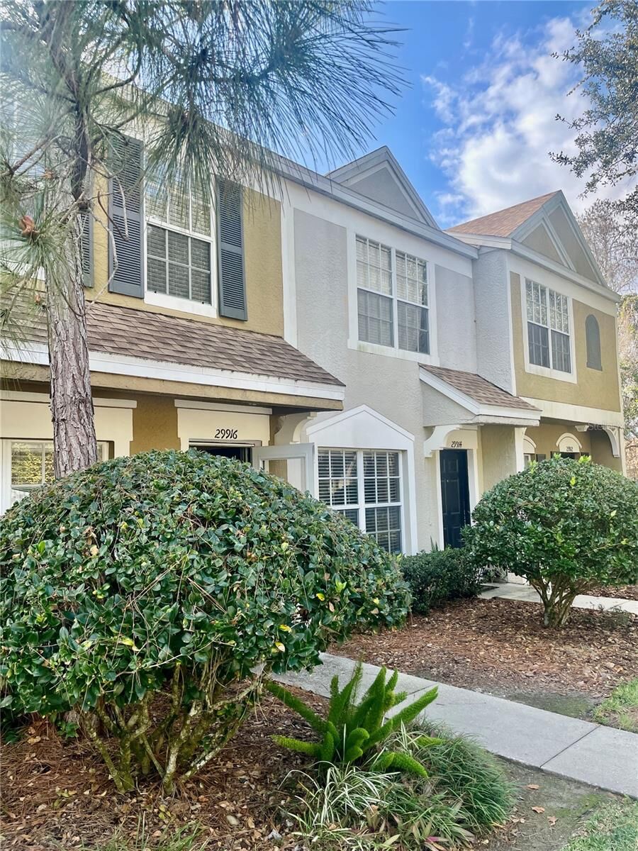 Property Photo:  29916 Alta Vita Lane  FL 33543 