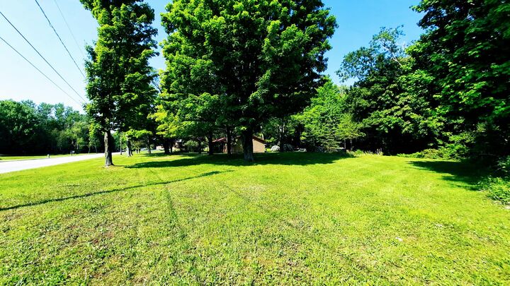 Property Photo:  8 Acres, 3rd Street  MI 49675 
