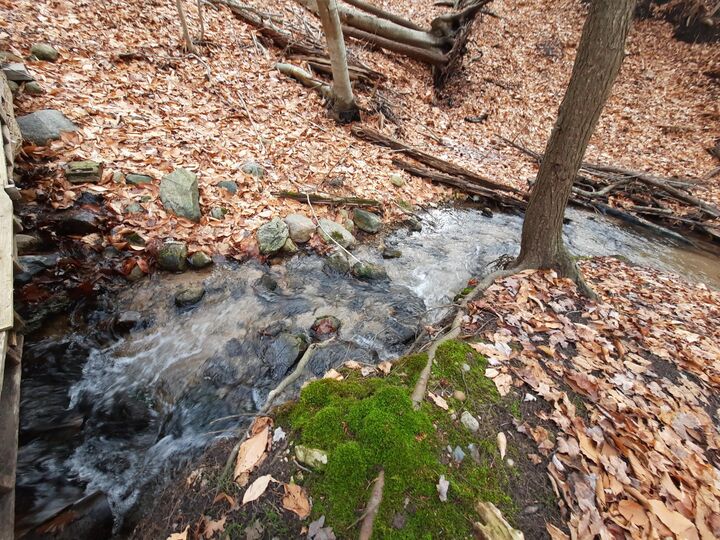 Property Photo: 8 Acres, 3rd Street MI 49675