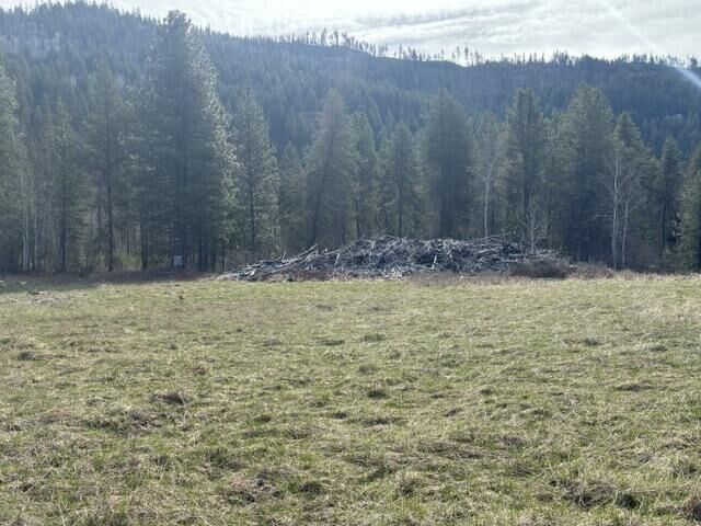 Property Photo:  Tbd N Stone Mountain Way  WA 99114 