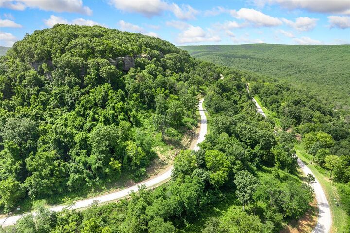 Property Photo:  Lot 16 Peaceful Place  AR 72601 