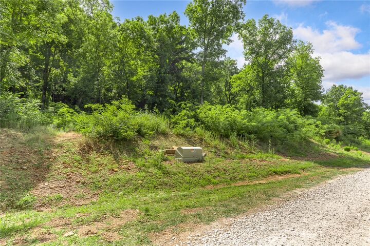 Property Photo:  117 Significance Summit  AR 72601 