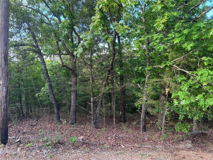 Property Photo:  Tbd Diamond Point Boulevard  AR 72630 