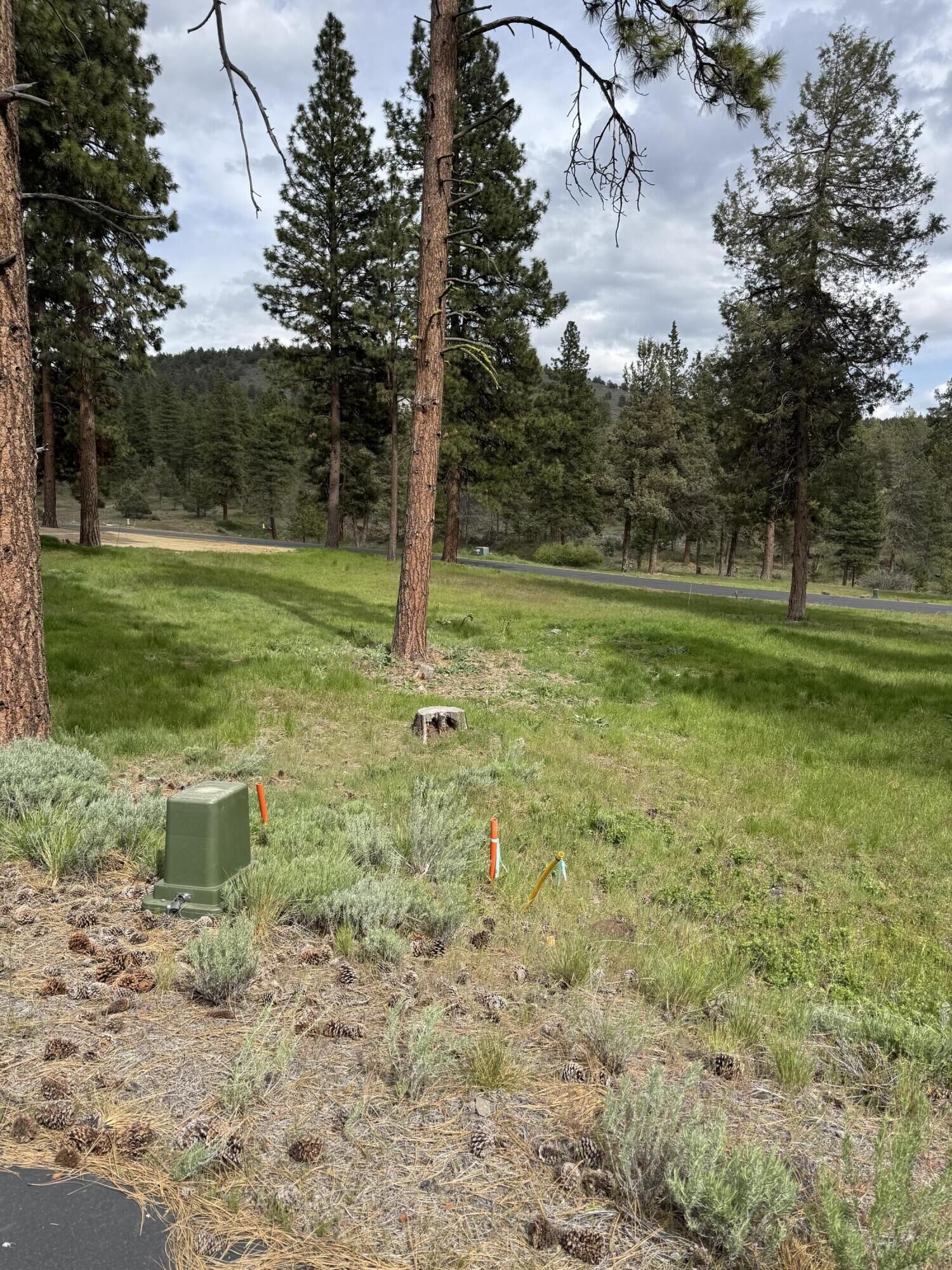 Property Photo:  1075 Timber Ridge Loop  OR 97601 