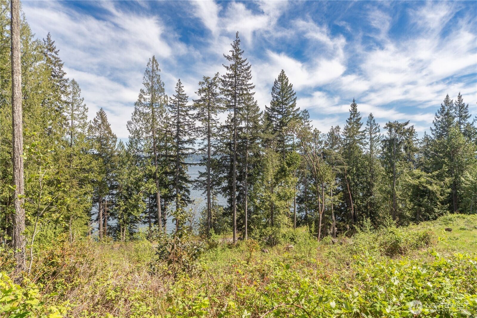 Property Photo:  155  Tog Road  WA 98320 