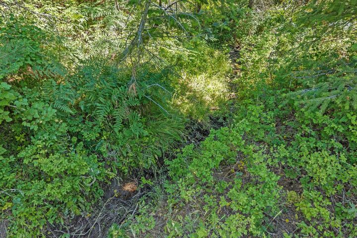 Property Photo:  Nka E Belmont Rd  WA 99023 