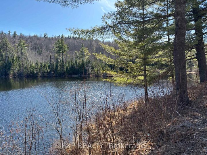 Property Photo:  000 Opeongo Road  ON K0J 2N0 