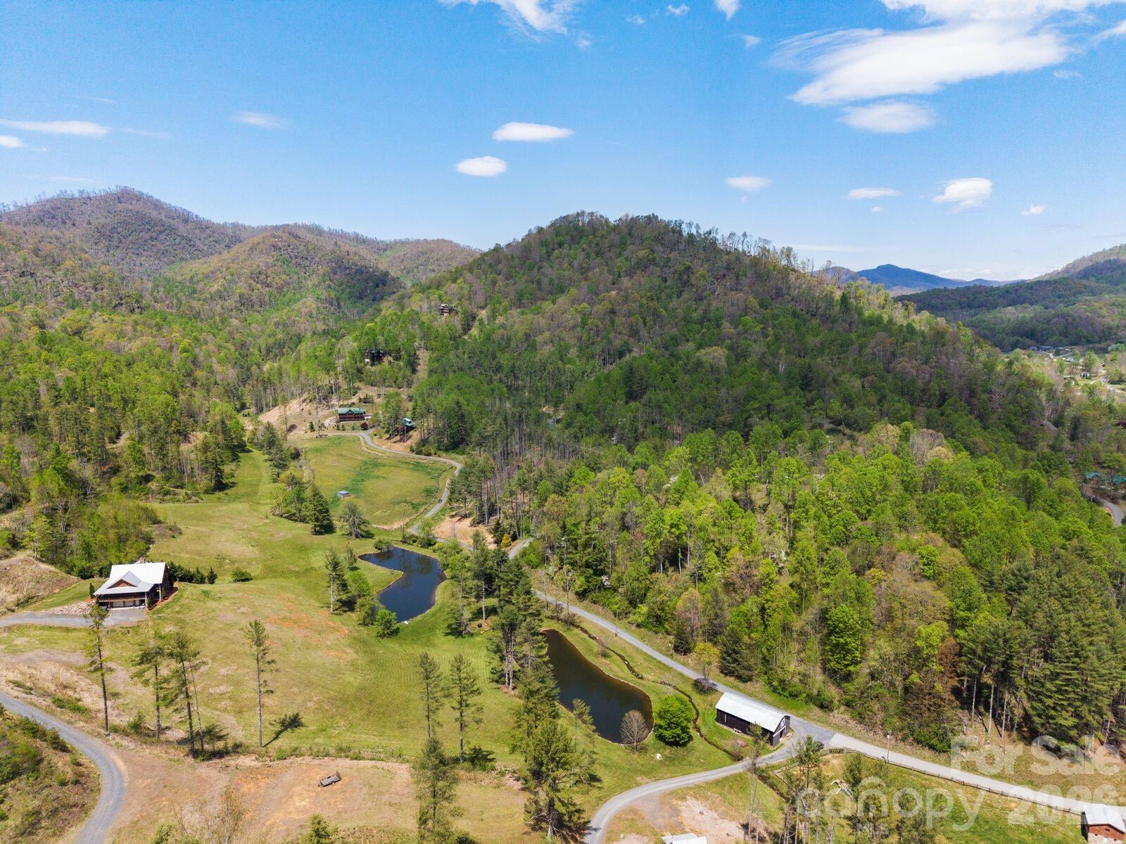 Property Photo:  00000 White Pine Lane 19  NC 28705 