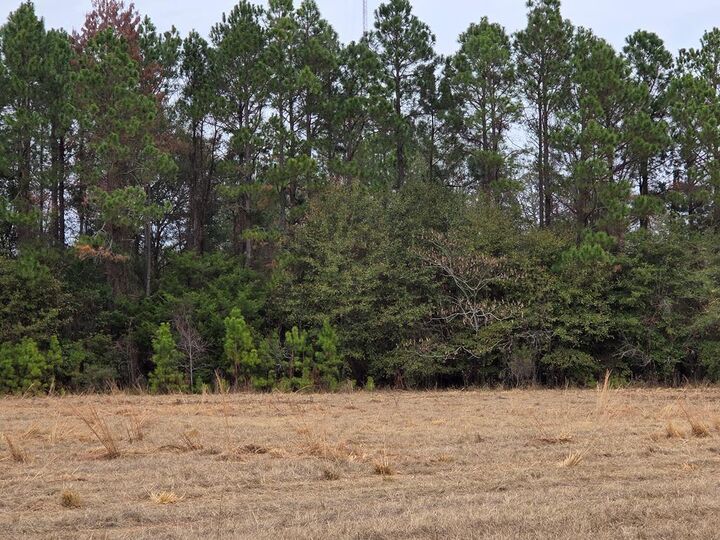 Property Photo:  118 Joe Wright Drive/New Harvest Road Lot A  GA 31015 