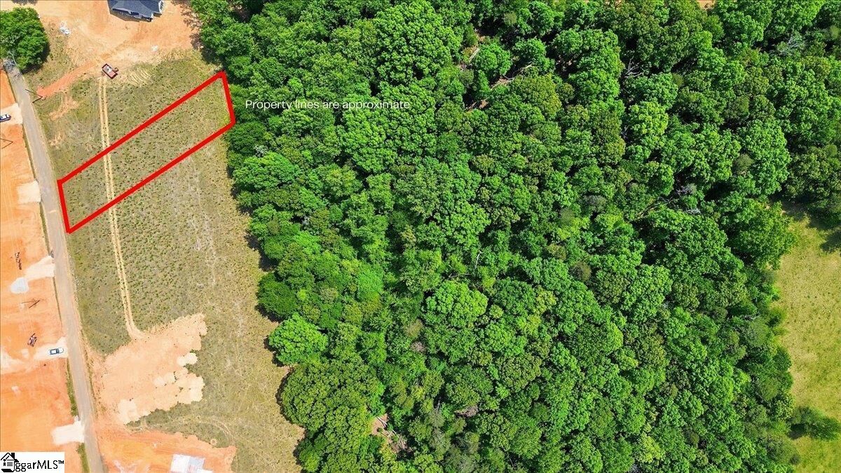 Property Photo:  0 Parris Farm Road Lot 2  SC 29323 