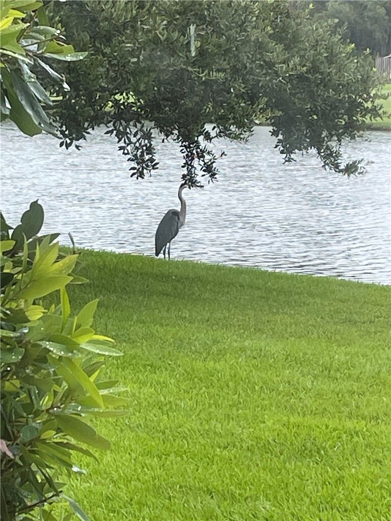 Property Photo:  218 Sea Palms Colony B  GA 31522 