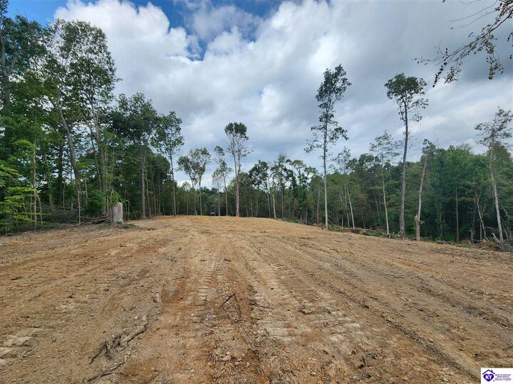 Property Photo: Tract 1 Leitchfield Road KY 42724