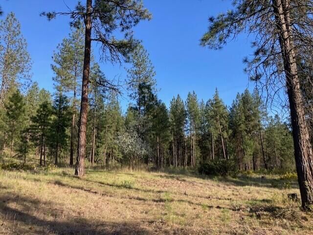 Property Photo:  1172 Fumi Cir  WA 99141 