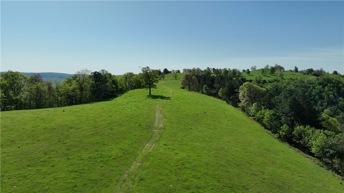 Property Photo:  Tbd Hwy 74  AR 72655 