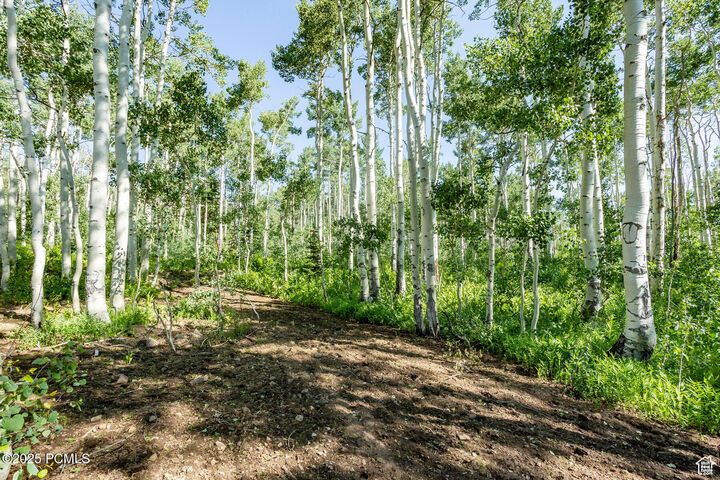 Property Photo:  5156 N Pebble Drive 75  UT 84049 