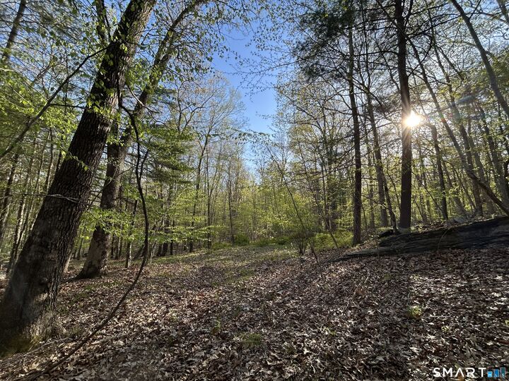 Property Photo: 78 Salt Rock Road CT 06330