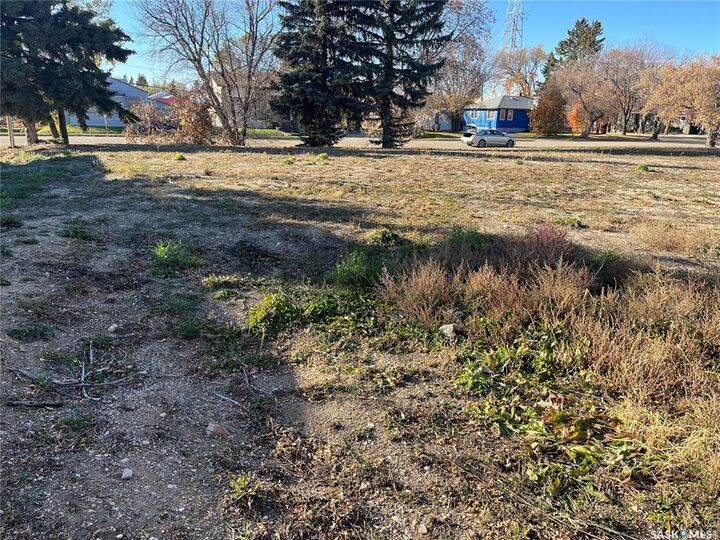 Photo de la propriété:  122 & 126 1st Street NE  SK S0A 4J0 