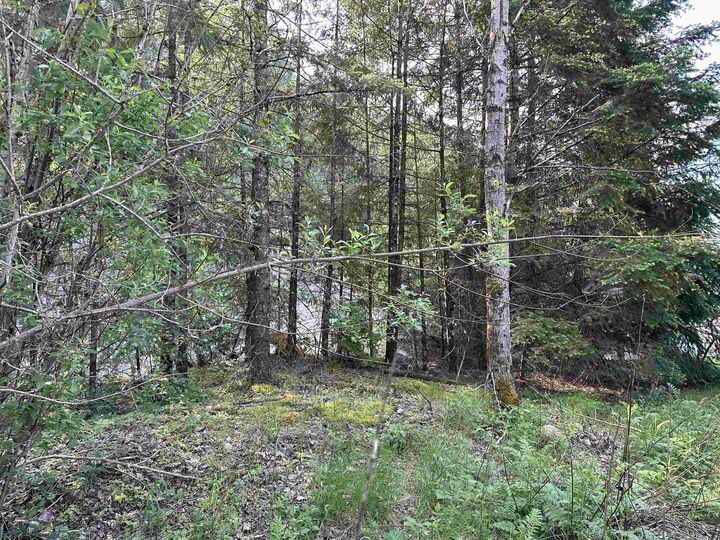 Property Photo: 21647 Thacker Mtn Road BC V0X 1L1