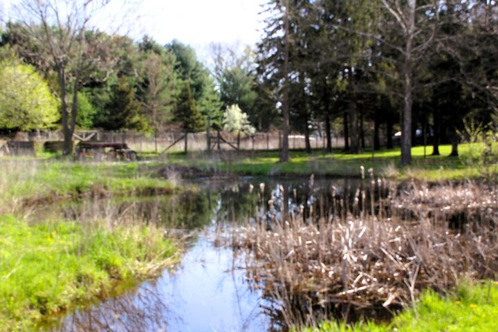 Property Photo:  10299 Frost Road  MI 48875 