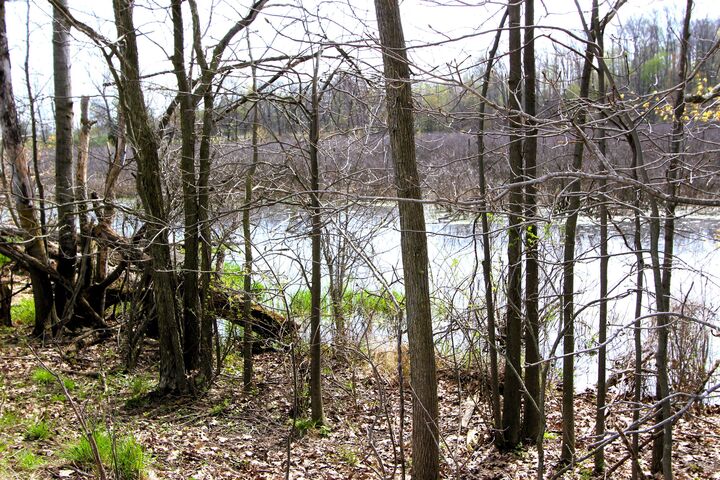 Property Photo:  V/L Frost Road  MI 48875 