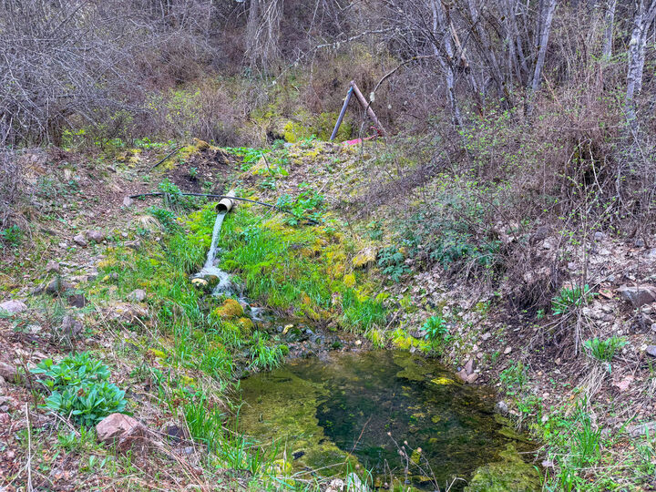 Property Photo:  4224 Grouse Creek Rd  WA 99148 