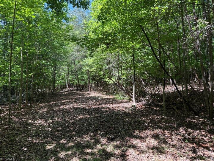Property Photo:  00 Broadview Drive  NC 27040 