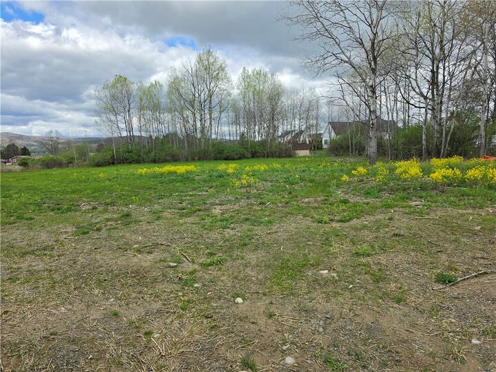 Property Photo: 19 Keller Drive NY 14845