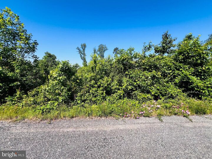 Property Photo:  0 Forest Road  VA 22572 