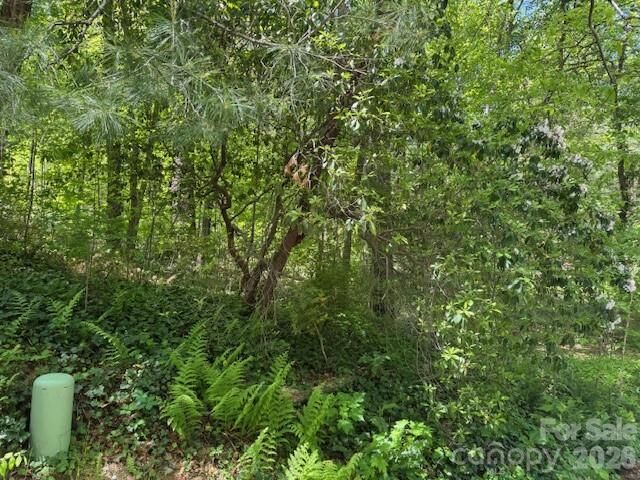 Property Photo:  000 Skyline Drive 17  NC 28791 