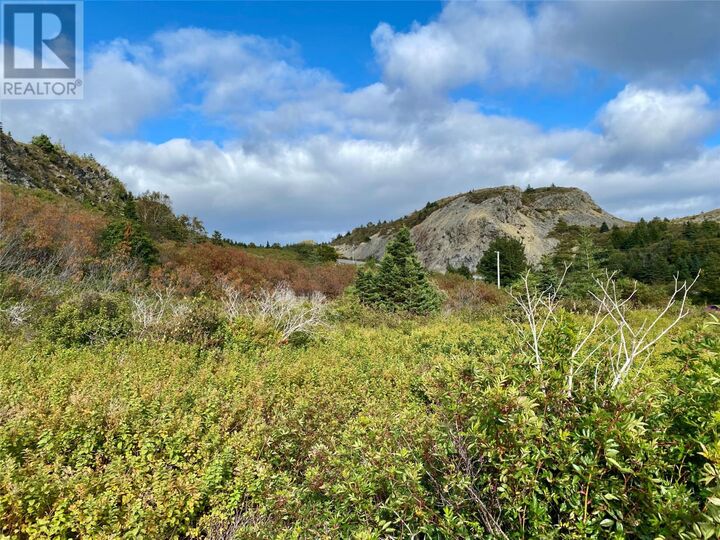 Property Photo:  6-8 Old Road North  NL A0A 3S0 